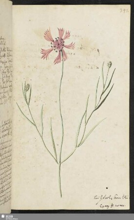 [Blatt 341-360]
