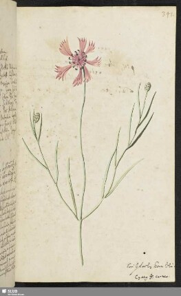 [Blatt 341-360]