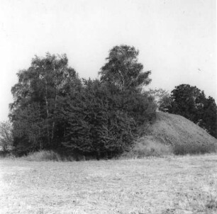 Mittelsachsen. Rothschönberger Stolln (1844/1846). VI. Lichtloch. Ansicht von der Seite