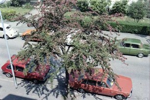 Freiburg i. Br.: Bunte Autos auf einem Parkplatz