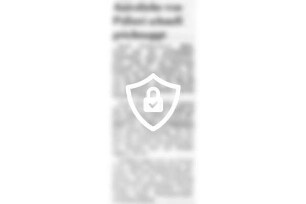 Autodiebe von Polizei schnell geschnappt