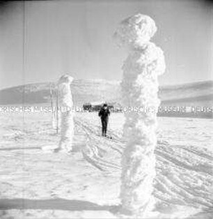 Skiurlauber aus der DDR bei Spindelmühle (Riesengebirge, Tschechoslowakei)