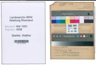 Entnazifizierung Walther Stiehler , geb. 29.03.1906 (Studienrat)