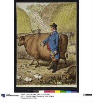 Fat-cattle