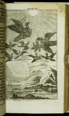 XXXVII.