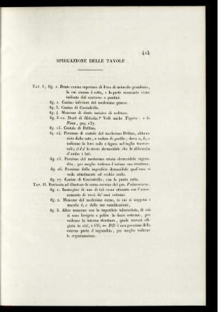 Spiegazione Delle Tavole