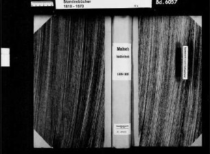Malsch, katholische und israelitische Gemeinde und Malschenberg, katholische Gemeinde: Standesbuch 1826-1830