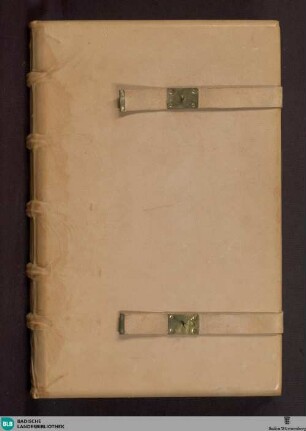 Summa super titulis decretalium - Cod. Aug. perg. 46