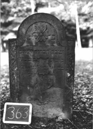 Grabstein 363 (Index: 99895773) Material: Sandstein Zustand: teilweise abgeblättert Maße HxBxT: 97x57x12 cm Beschreibung: Stele mit eingezogenem Rundbogenabschluss Symbolik: Blüte, Ranken: Grabstein 363