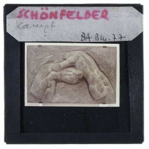 Schönfelder, Kampf