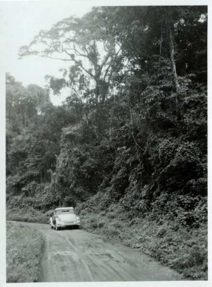 Straße (Gran Carretera Occidental) durch den Urwald von Urama, Venezuela