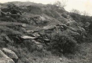 Dresden. Gamighübel bei Dresden-Leubnitz. Granitkuppe