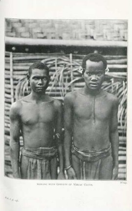 Semang with girdles of Malay cloth