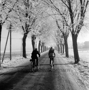 Tralau: Oldesloer Straße: Kreisstraße Richtung Nütschau: vorn zwei Fahrradfahrer: hinten Häuser: Winter