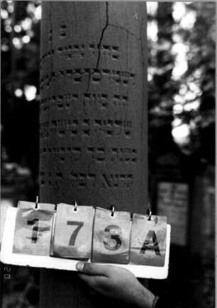 Grabstein 173A
