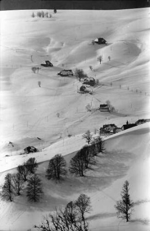 Hofsgrund: Hofsgrund von oben