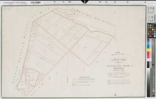 Tungerloh-Capellen (Gescher), Tungerloh-Pröbsting (Gescher), Teilung der Tungerloher Mark, Bl. 1 Reinkarte Capellen Seite