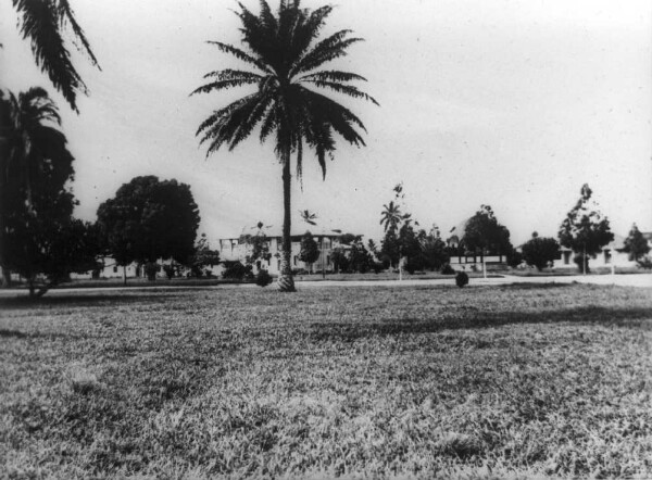 Duala : Jardin de l'Office du district