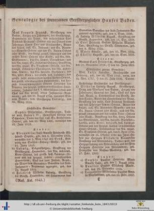 Kurze vaterländische Geschichte (Eilfte Fortsetzung).