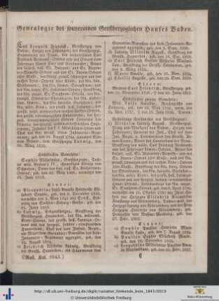 Kurze vaterländische Geschichte (Eilfte Fortsetzung).