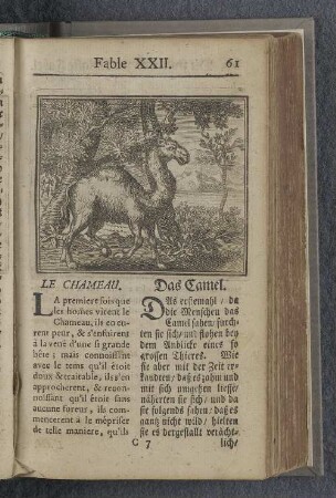 Fable XXII. : Le chameau. Das Camel.