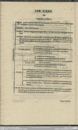 Tab. XXXII. De Ventriculo