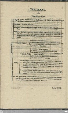 Tab. XXXII. De Ventriculo