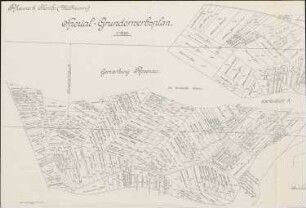 Rheinwerk Kembs (Mülhausen); Spezialgrunderwerbsplan