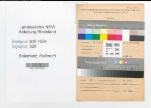 Entnazifizierung Hellmuth Steinmetz , geb. 00.00.0000 (Oberst-Arzt)