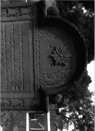 Grabstein 418 (Index: 100102786) Material: Sandstein Zustand: stark verwittert, abgeblättert, teilweiser Textverlust Maße HxBxT: 169x82x13 cm Beschreibung: Stele, eingezogener Rundbogenabschluss mit Verdachung, im Bogen Blüte, auf den Einzügen Kugelaufsätze, Schriftfeld rechteckig eingetieft, auf dem Rahmen Blütenfries Symbolik: Blütenfries: Grabstein 418 (Detailaufnahme 1)