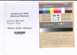 Entnazifizierung Gustav Johannes Werner , geb. 24.01.1900 (Arzt)