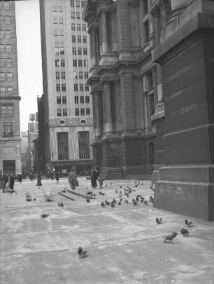 Am Rathaus von Philadelphia : Vorplatz mit Tauben und Personen, vor dem Rathaus in Philadelphia