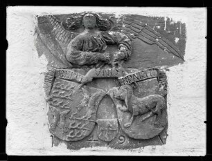 Wappen, Brackenheim-württemberg 1495