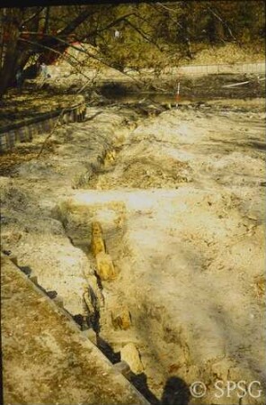 Berlin, Schlossgarten Charlottenburg, Umgebung Karpfenteich, Sanierungsarbeiten am Karpfenteich, Kurvung der westlichen Spundwand von Süden.