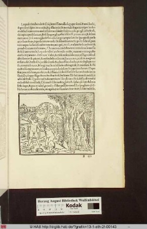 [Putto ermordert seine Gefangenen]
