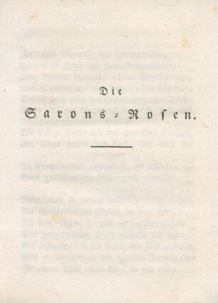 Die Sarons-Rosen