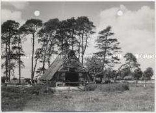Bremervörde in Niedersachsen