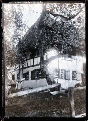 Fachwerkhaus mit Strohdach