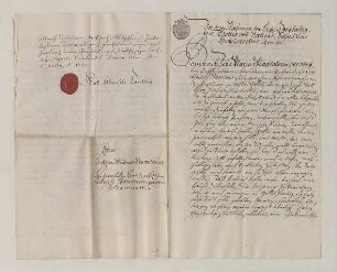 Beglaubigte Abschrift des Testaments der Maria Magdalena geborene Schermar, Witwe des Ulmer Ratsälteren Albrecht Stammler.