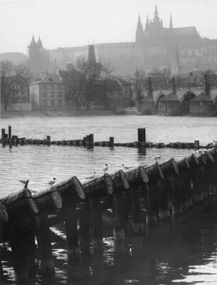 Prag. Blick über die Moldau auf den Hradschin mit Burg