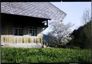 Fröhnd: Blütenbaum mit altem Schwarzwaldhaus, seitlich