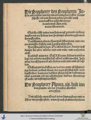 Die Prophecey des Propheten Johels am letsten