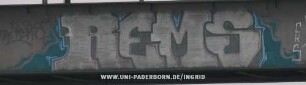 REMS