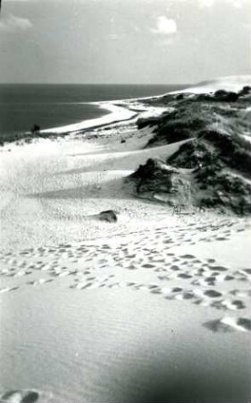 Nehrungslandschaft am Haff, Kurische Nehrung