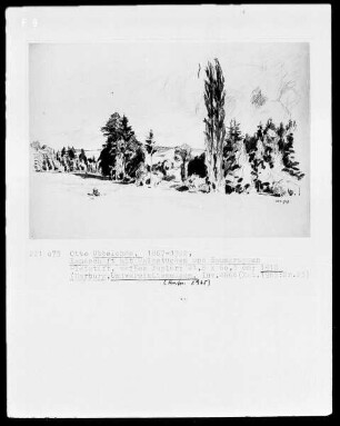 Landschaft mit Waldstücken und Baumgruppen