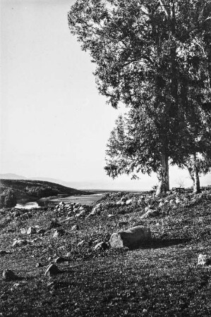 Landschaft bei Damaskus (HAPAG-Mittelmeerfahrt der Oceana Leonhardt 1929)