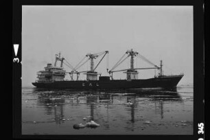 Sunny Isabella (1978), Hanse Bereederungs Ges./Hbg/Li.