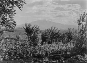 Mount Meru : Blick auf den Vulkan Mount Meru