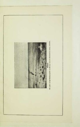 Steppe