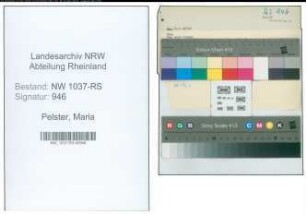 Entnazifizierung Maria Pelster , geb. 00.00.0000 ()